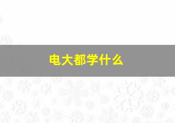 电大都学什么