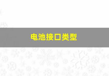 电池接口类型