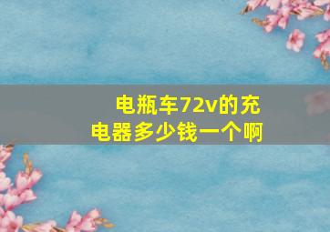 电瓶车72v的充电器多少钱一个啊