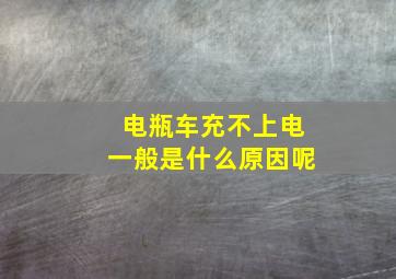 电瓶车充不上电一般是什么原因呢