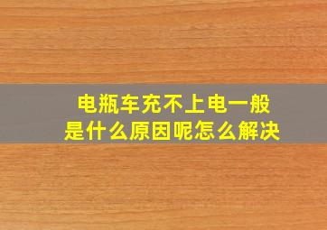 电瓶车充不上电一般是什么原因呢怎么解决