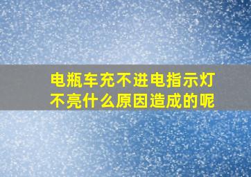 电瓶车充不进电指示灯不亮什么原因造成的呢