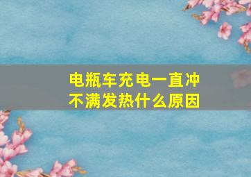 电瓶车充电一直冲不满发热什么原因