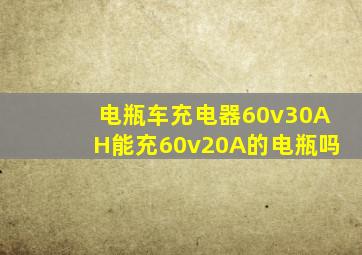 电瓶车充电器60v30AH能充60v20A的电瓶吗