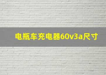 电瓶车充电器60v3a尺寸