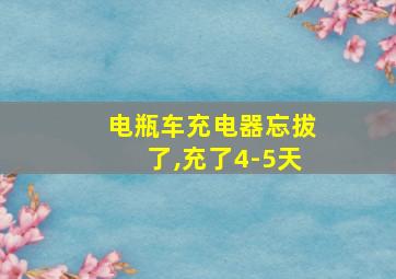 电瓶车充电器忘拔了,充了4-5天