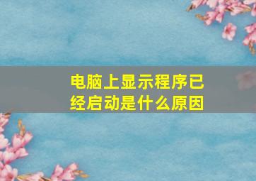 电脑上显示程序已经启动是什么原因