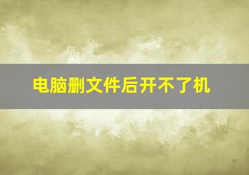 电脑删文件后开不了机