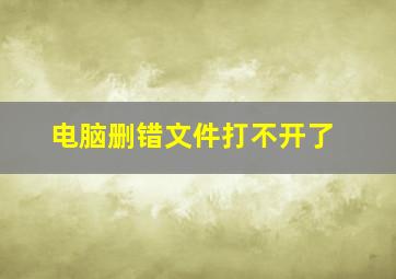 电脑删错文件打不开了