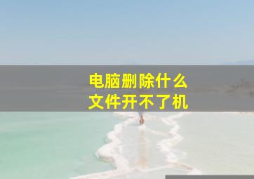 电脑删除什么文件开不了机