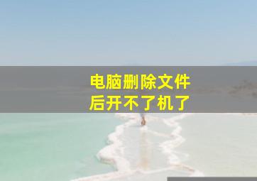 电脑删除文件后开不了机了