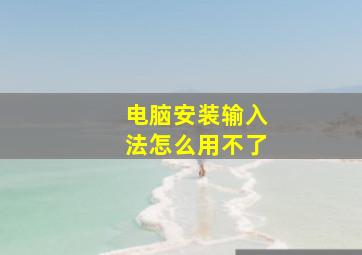 电脑安装输入法怎么用不了