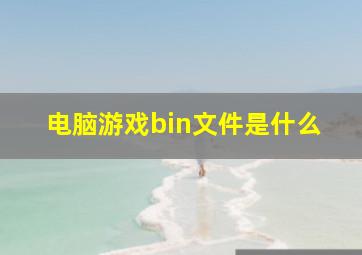 电脑游戏bin文件是什么