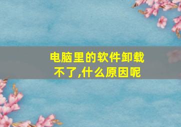 电脑里的软件卸载不了,什么原因呢