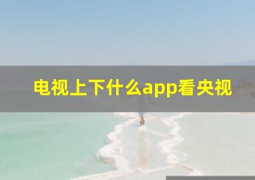 电视上下什么app看央视