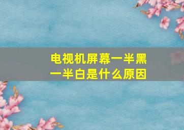 电视机屏幕一半黑一半白是什么原因