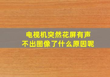 电视机突然花屏有声不出图像了什么原因呢