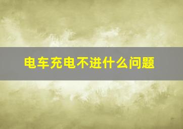 电车充电不进什么问题