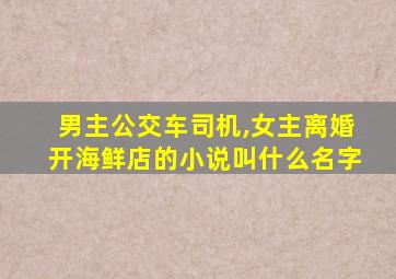 男主公交车司机,女主离婚开海鲜店的小说叫什么名字