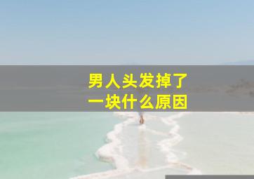 男人头发掉了一块什么原因