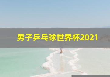 男子乒乓球世界杯2021