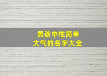 男孩中性简单大气的名字大全