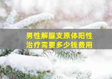 男性解脲支原体阳性治疗需要多少钱费用