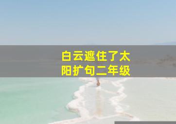 白云遮住了太阳扩句二年级