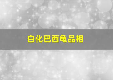 白化巴西龟品相