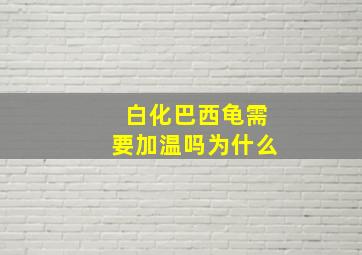 白化巴西龟需要加温吗为什么