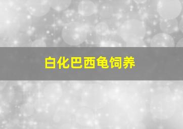 白化巴西龟饲养