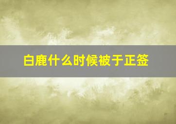 白鹿什么时候被于正签