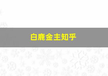 白鹿金主知乎