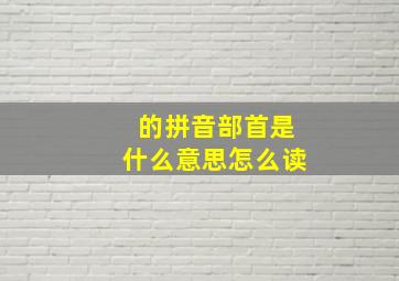 的拼音部首是什么意思怎么读