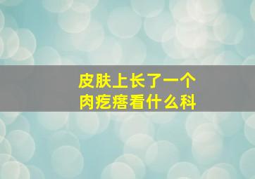 皮肤上长了一个肉疙瘩看什么科