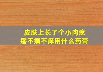 皮肤上长了个小肉疙瘩不痛不痒用什么药膏