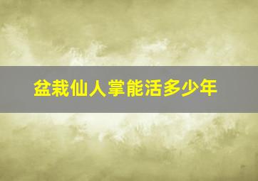 盆栽仙人掌能活多少年