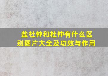 盐杜仲和杜仲有什么区别图片大全及功效与作用