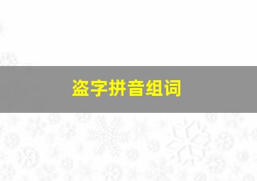 盗字拼音组词