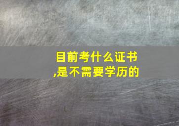 目前考什么证书,是不需要学历的