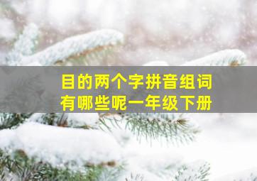 目的两个字拼音组词有哪些呢一年级下册