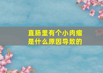 直肠里有个小肉瘤是什么原因导致的