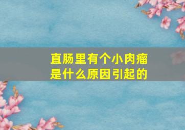 直肠里有个小肉瘤是什么原因引起的