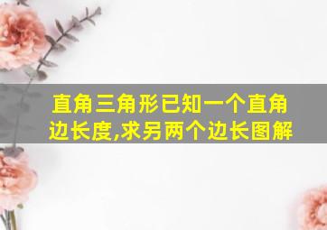 直角三角形已知一个直角边长度,求另两个边长图解