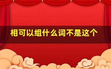 相可以组什么词不是这个