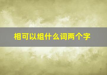 相可以组什么词两个字