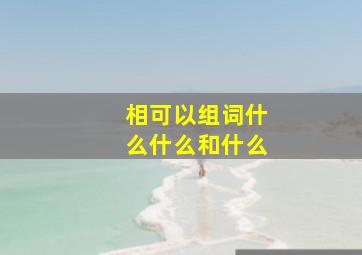 相可以组词什么什么和什么