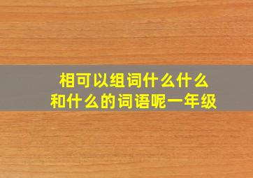 相可以组词什么什么和什么的词语呢一年级