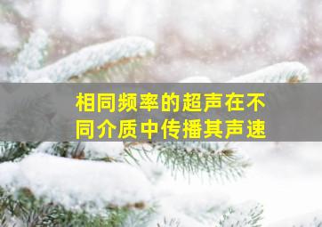 相同频率的超声在不同介质中传播其声速