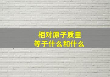 相对原子质量等于什么和什么